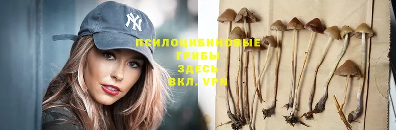 Псилоцибиновые грибы MAGIC MUSHROOMS  Котельниково 